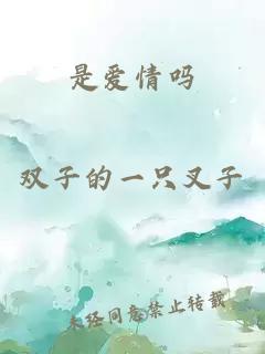 我的26岁女房客