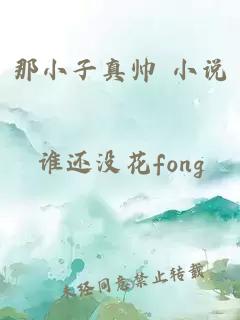 那小子真帅 小说