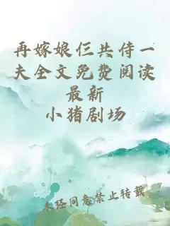 再嫁娘仨共侍一夫全文免费阅读最新