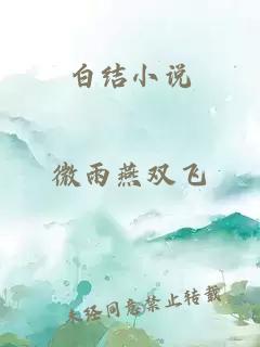 白结小说