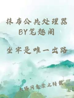 抹布公共处理器BY笔趣阁