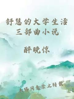 舒慧的大学生活三部曲小说