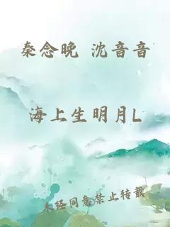 秦念晚 沈音音