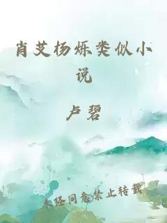 肖艾杨烁类似小说