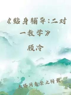 《贴身辅导:二对一教学》
