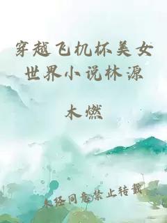 穿越飞机杯美女世界小说林源