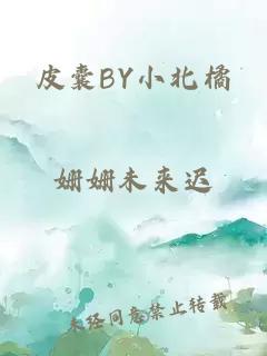 皮囊BY小北橘