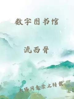 数字图书馆