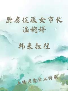厨房征服女市长温婉婷