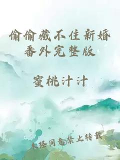 偷偷藏不住新婚番外完整版