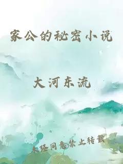 家公的秘密小说