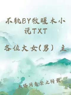不轨BY牧暖木小说TXT