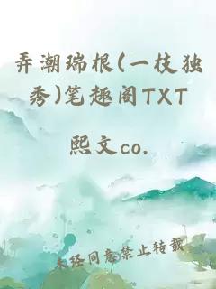 弄潮瑞根(一枝独秀)笔趣阁TXT