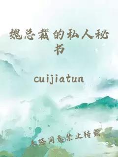 魏总裁的私人秘书