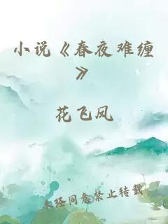 小说《春夜难缠》