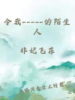 令我_____的陌生人