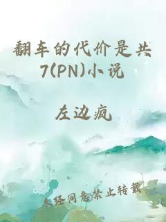 翻车的代价是共7(PN)小说