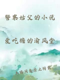 警察姑父的小说