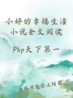小婷的幸福生活小说全文阅读