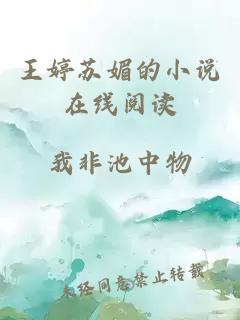 王婷苏媚的小说在线阅读