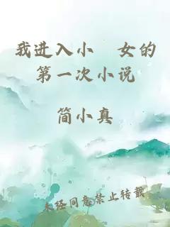 我进入小姪女的第一次小说
