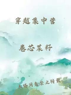 穿越集中营
