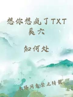 想你想疯了TXT奚六
