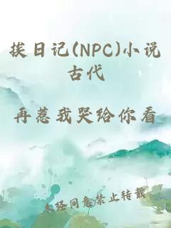 挨日记(NPC)小说古代