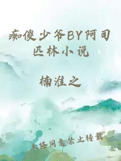 痴傻少爷BY阿司匹林小说