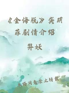 《金悔瓶》龚玥菲剧情介绍