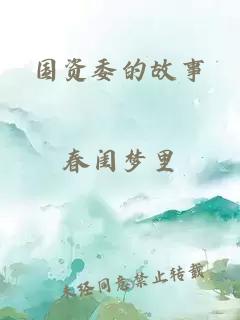 国资委的故事