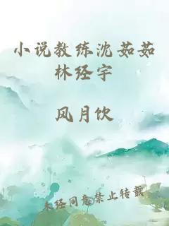 小说教练沈茹茹林经宇