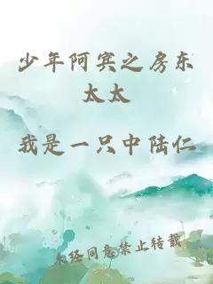 少年阿宾之房东太太