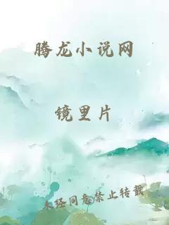 腾龙小说网