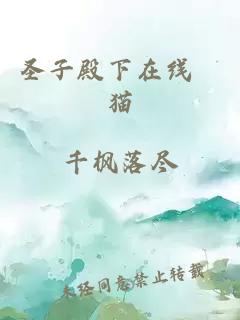 圣子殿下在线挼猫