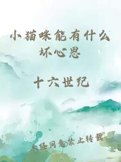 小猫咪能有什么坏心思