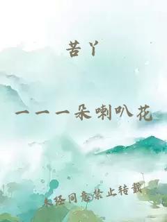 苦丫