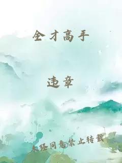 全才高手
