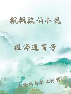 飘飘欲仙小说