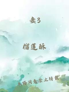 妻3