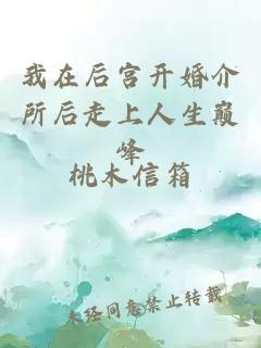 我在后宫开婚介所后走上人生巅峰