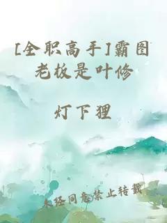 [全职高手]霸图老板是叶修