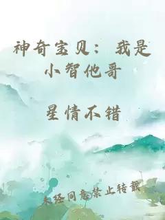 神奇宝贝：我是小智他哥