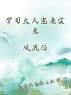 掌司大人宠妻实录