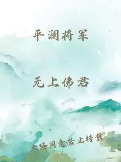 平澜将军