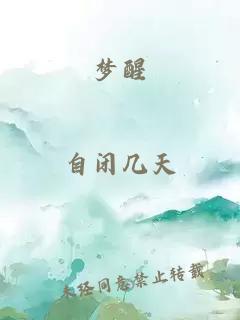 梦醒