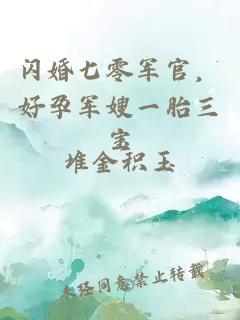 闪婚七零军官，好孕军嫂一胎三宝
