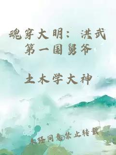 魂穿大明：洪武第一国舅爷