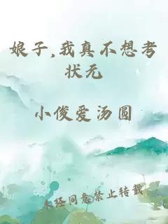 娘子,我真不想考状元