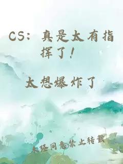 CS：真是太有指挥了！